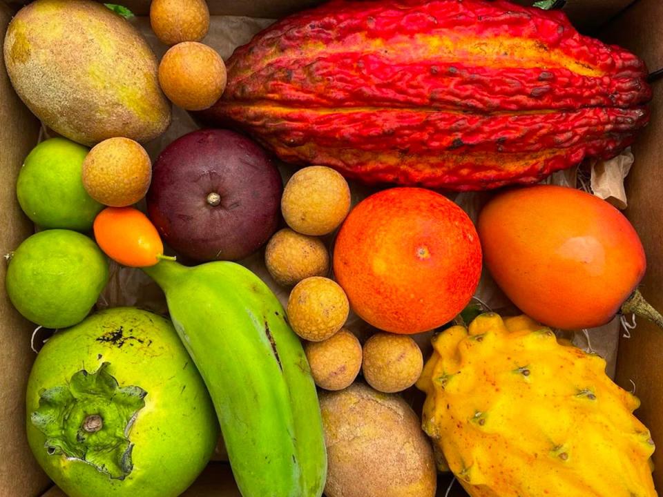 Box of assorted tropical fruit from Miami Fruit.