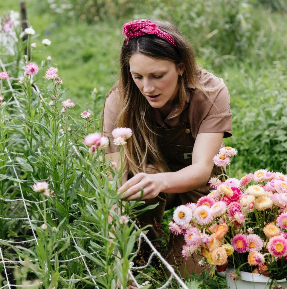 Young plants benefit from good air flow as they start to grow, says Milli Proust