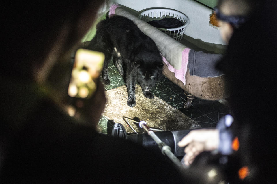 A dog is illuminated by the flashlights and headlamps of rescue workers inside a house during Tropical Storm Florence at night in Wilmington, North Carolina, U.S., on Sunday, Sept. 16, 2018. Major poultry andï¿½meatï¿½companies are starting to resume operations in the Carolinas as the torrential rains and flooding unleashed by Hurricaneï¿½Florenceï¿½start to subside. Photographer: Alex Wroblewski/Bloomberg via Getty Images