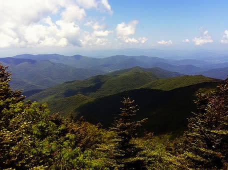 Pisgah National Forest