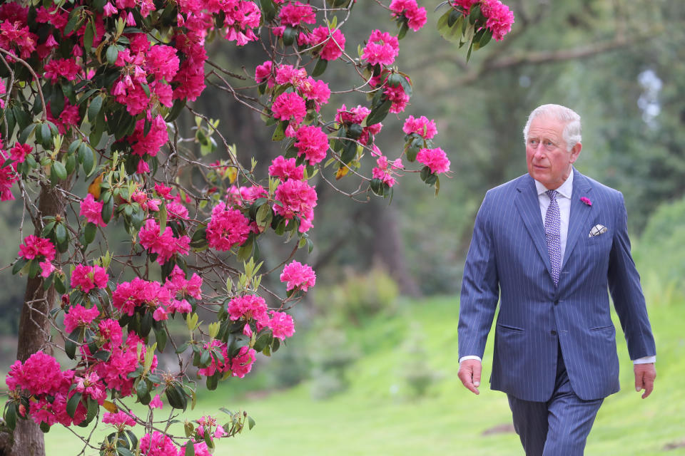 The Prince of Wales during a visit to Kilmacurragh Botanic Gardens, on the second day of the Royal visit to Ireland.