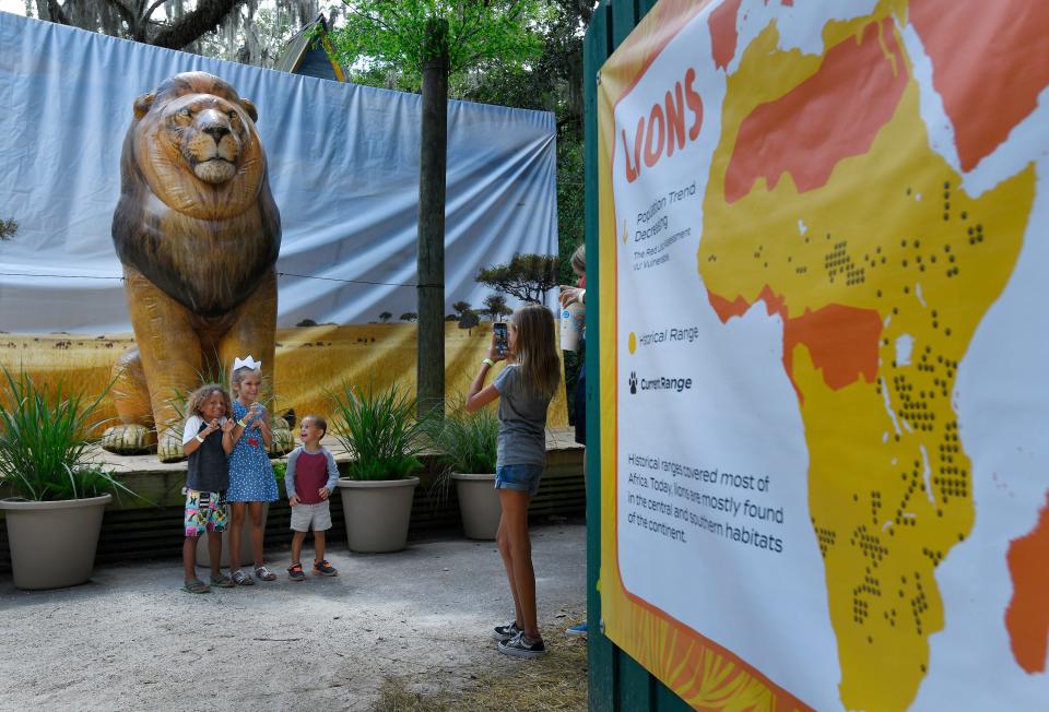 Children pose for photos at the oversized inflatable lion on display at the Jacksonville Zoo and Gardens. The Colossal Creatures exhibit will be at the zoo's Great Lawn through August.