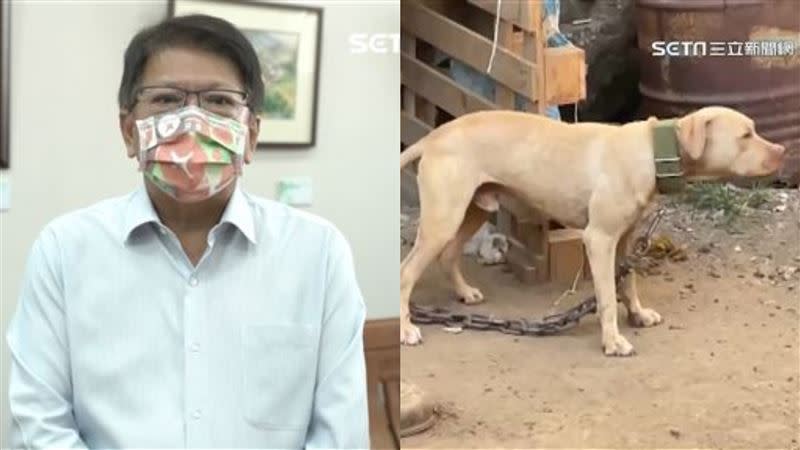 屏東縣長潘孟安今天表示後續會為比特犬「媒合收養」。（圖／資料照）
