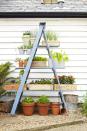 <p>Turn a wooden ladder into a vertical stand for potted flowers, veggies, and herbs. Just give it a fresh coat of paint before you put it out on display. </p><p><em><a href="https://www.goodhousekeeping.com/home/gardening/advice/g76/diy-ladder-planter/" rel="nofollow noopener" target="_blank" data-ylk="slk:Get the tutorial »;elm:context_link;itc:0;sec:content-canvas" class="link ">Get the tutorial »</a></em></p>