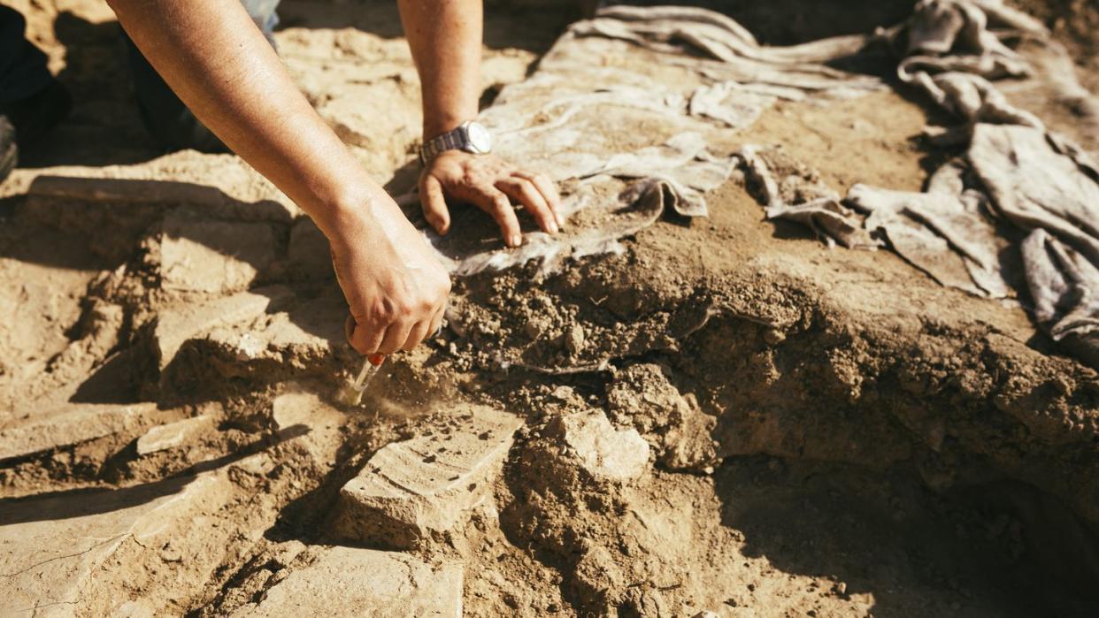 archaeologist working in an archaeological