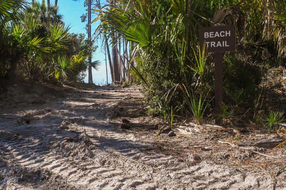 One of several trails that guests of St. Phillips Island can utilize while staying at former home of media mogul Ted Turner that is now a South Carolina state owned park.