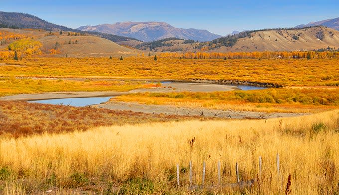 Yellowstone's Lamar Valley in Autumn