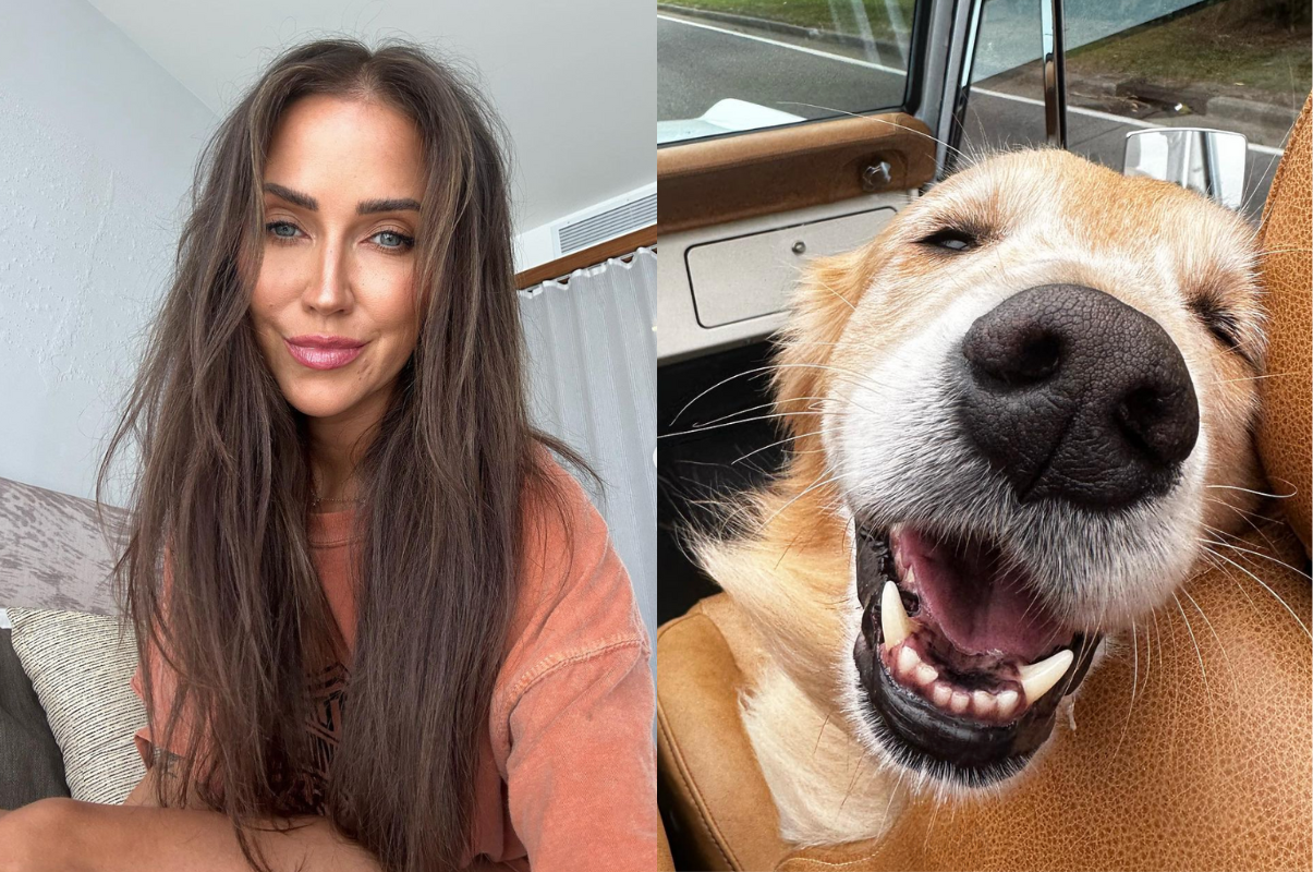 Kaitlyn Bristowe took her pup Pinot for a ride. (Instagram/@kaitlynbristowe) 