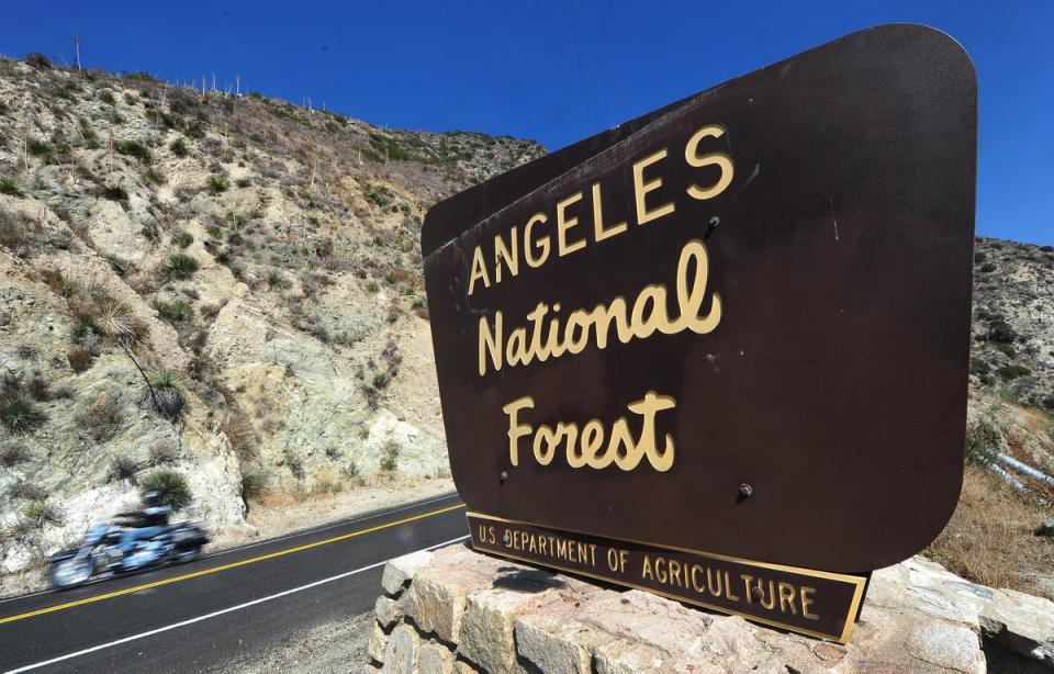 Police arrested Eduardo Sarabia after charging him with sexually assaulting two women in Angeles National Forest (pictured) (AFP via Getty Images)