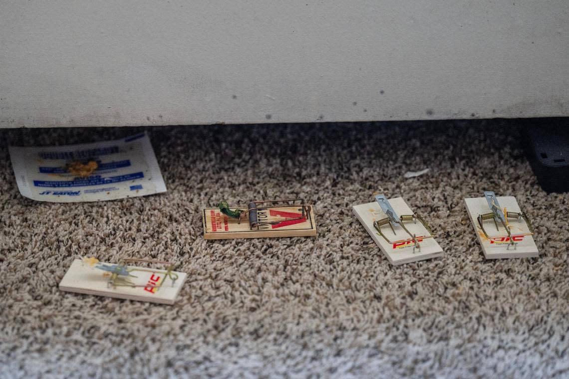 Mouse traps and cockroach traps are seen placed along the gap of a wall heater in Michelle Paylor’s studio apartment at Independence Towers on March 19 in Independence. Emily Curiel/ecuriel@kcstar.com