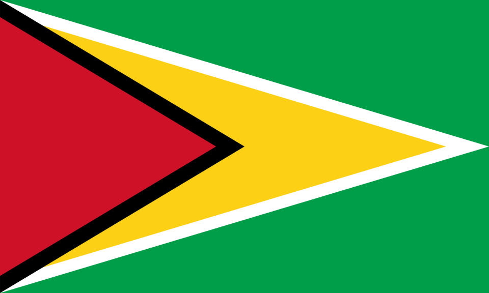 Flag of Guyana, or the Golden Arrowhead,  consisting of a green field incorporating a red hoist triangle and a central yellow arrowhead, separated by black and white borders.