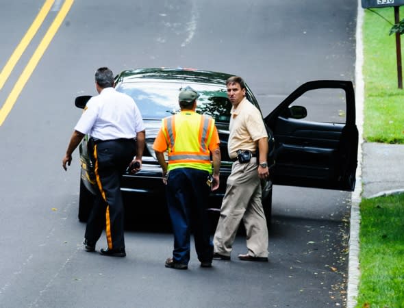 Bear leads police on four-hour chase through New Jersey neighbourhood