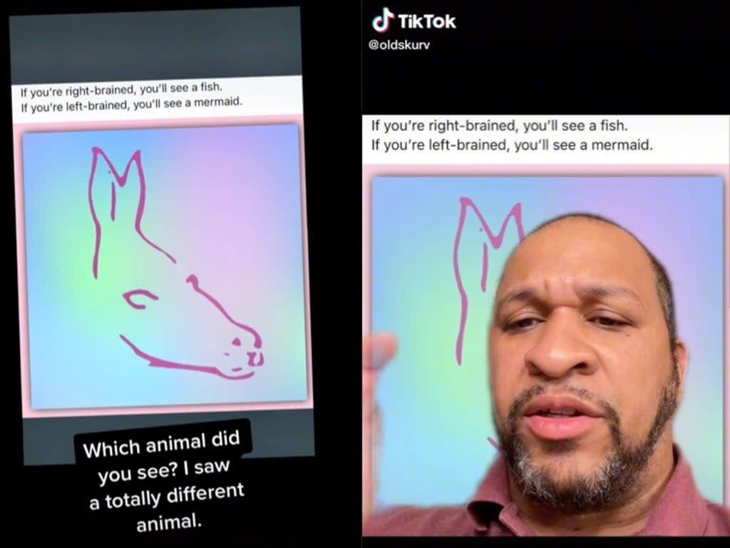 People are confused by optical illusion claiming to depict fish or mermaid (TikTok / @mrsspeed2.0 / @oldskurv)