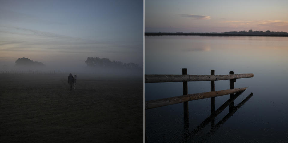 Rancher Jean-Claude Groul, left, fetches his horse at dawn to start the day’s work and a marshland, right, used for grazing semi-wild bulls and horses in the Camargue, southern France, Oct. 11, 2022. (AP Photo/Daniel Cole)