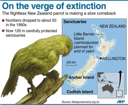 Graphic showing the two remaining and one planned sanctuary for New Zealand's kakapo parot, whose numbers were down to the last fifty individuals in the 1990s, climbing back up to 126 this year