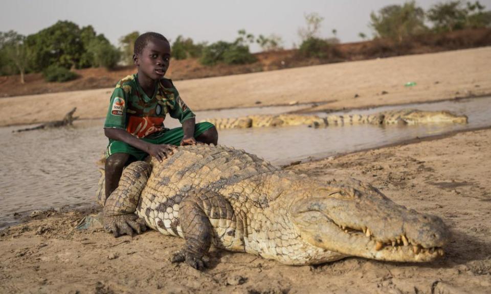 A boy sits on the back of a ‘sacred’ crocodile in Bazoule in Burkina Faso