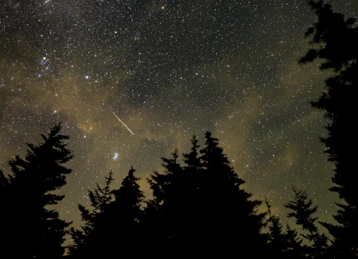 A Perseid meteor is seen in the sky above West Virginia on 11 August, 2021 (Nasa)