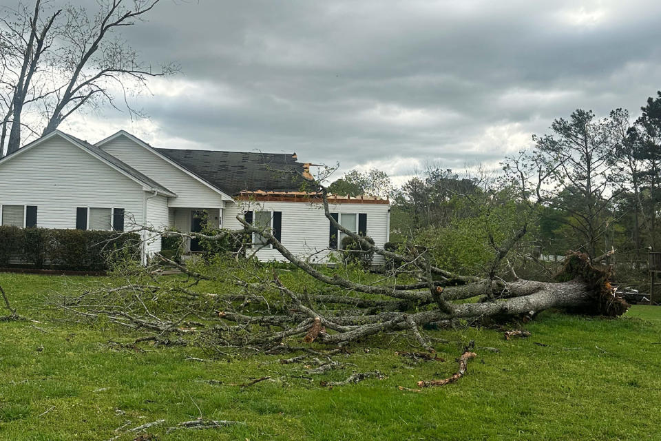 An uprooted tree in Conyers, Georgia, on Tuesday. (Courtesy Jazzalyn Daniels)