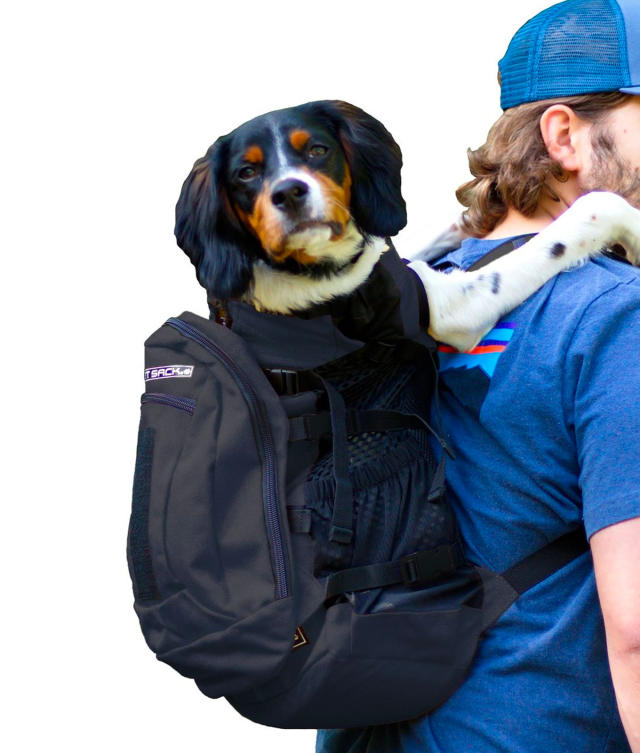 The 17 Best Dog Carriers of 2023 – PureWow