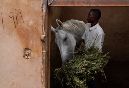 The Wider Image: Khartoum's Equestrian Club struggles amid Sudan upheaval