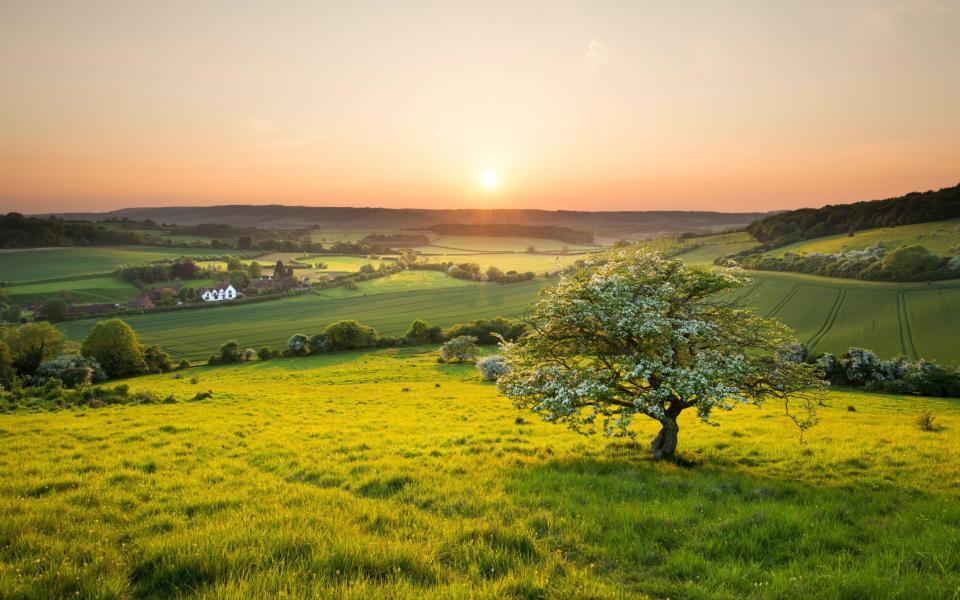 The Kent Downs is the only protected landscape that extends into Greater London