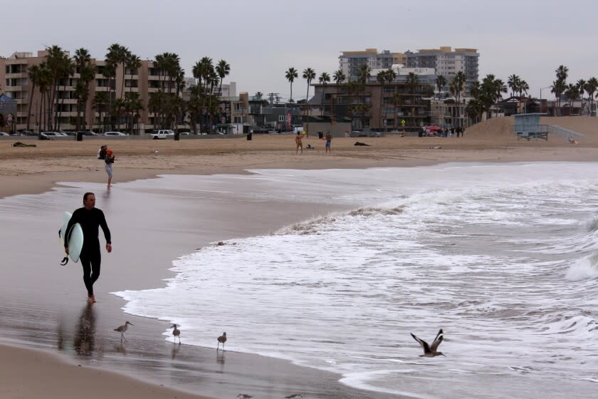 VENICE, CA - JANUARY 15, 2022 - - A surfer approaches the surf as tsunami warnings did not keep surfers away from Venice on January 15, 2022. Southland beaches were under a tsunami warning after an underwater volcano erupted in the South Pacific. People were advised to move off the beach and out of the harbors and marinas, avoid the coastline and not to go to the coast to watch the tsunami. (Genaro Molina / Los Angeles Times)