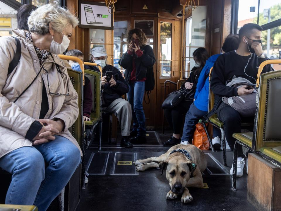 Boji rides Istanbul's historic tram.