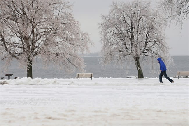 A man walks in a park in Kingston, Ont., on December 21, 2013. A major freezing rain weather front is moving through eastern part of Canada. THE CANADIAN PRESS/Lars Hagberg