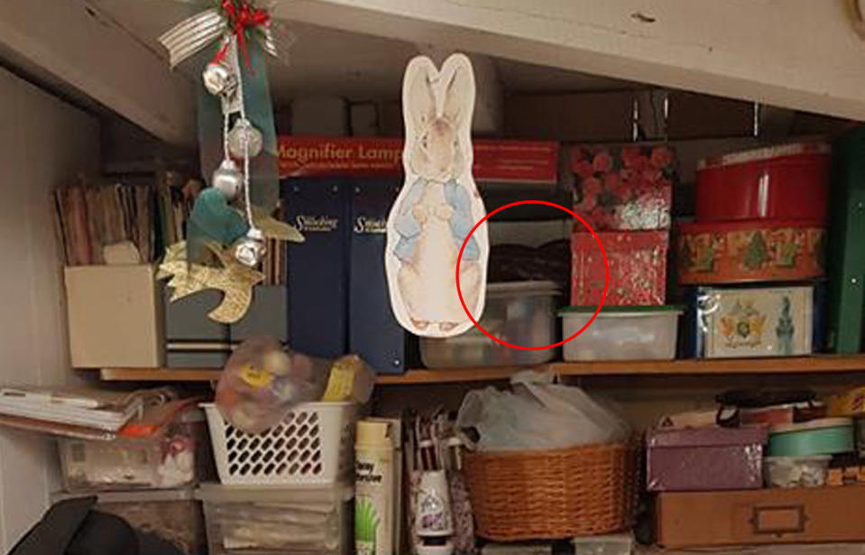 The snake had made its way onto the top shelf of the sewing room. Source; Snake Catchers Brisbane, Logan, Ipswich and Gold Coast