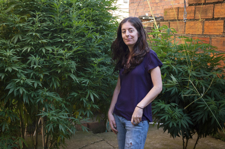 This Oct. 19, 2017 photo provided by Michelle Janikian shows herself doing research among a stand of marijuana plants in Medellin, Colombia, where she said anyone can cultivate up to 20 plants at home, and the legal medical market is booming. Janikian, who writes about marijuana for publications like Herb, Playboy and Rolling Stone, says after she tells someone what she does for a living she usually spends the rest of the conversation "trying to act so friendly and mainstream" so they don't think she's stoned. (Michelle Janikian via AP)