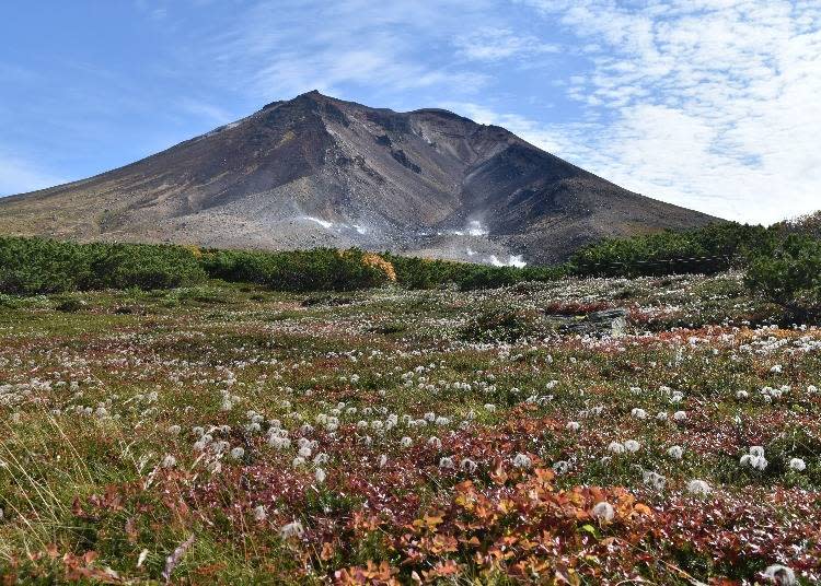 造訪旭岳記得穿上適合登山的服裝前來（照片拍攝：吉田匡和）