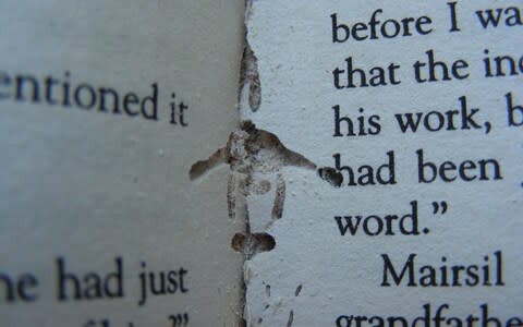 Silverfish like to eat the sugar in book bindings  - Credit: National Trust/Sarah Stanley&nbsp;