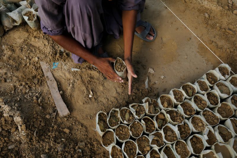 The Wider Image: Pakistanis plant trees to provide relief from scorching sun