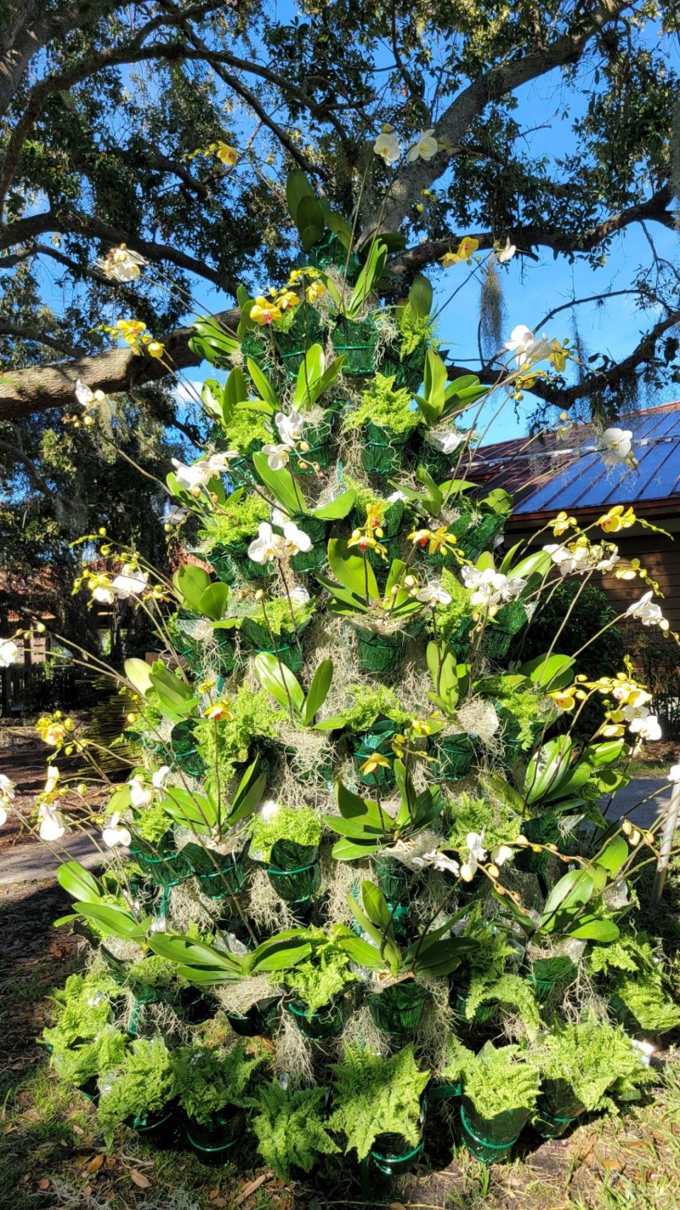 Mounts Botanical Garden's holiday trees will feature colorful bromeliads, orchids, and other tropical botanicals.