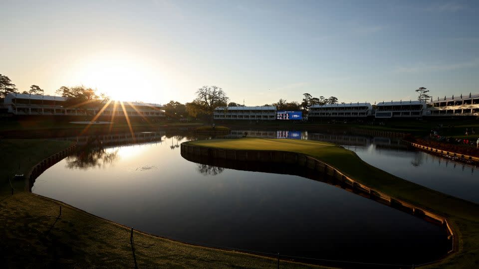 Each year, thousands of balls are fished out of the waters surrounding the 17th hole of the Stadium Course at TPC Sawgrass. - Jared C. Tilton/Getty Images