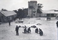 U.S. Army troops make a battle plan in a farmyard amid dead cattle, which had been killed by artillery bursts, near the D-Day landing zone of Utah Beach in Les-Dunes-de-Varreville, France, on June 6, 1944. (Photo: U.S. National Archives/handout via Reuters)