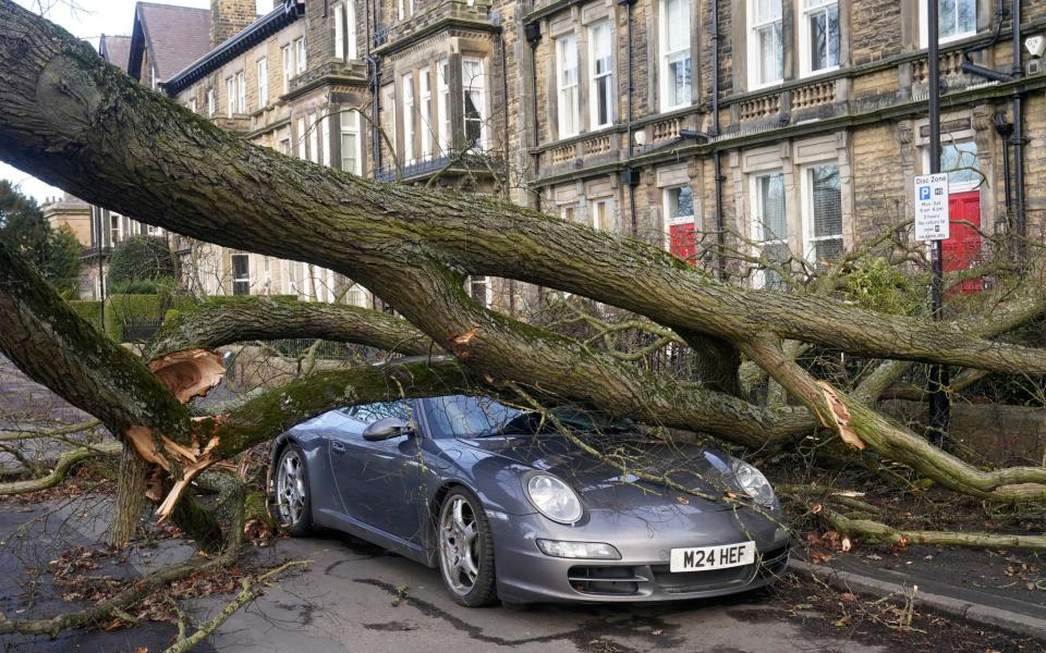 Un automóvil Porsche 911 es dañado por un árbol caído en Harrogate, North Yorkshire - PA