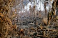 FILE PHOTO: A burning tract of the Amazon jungle