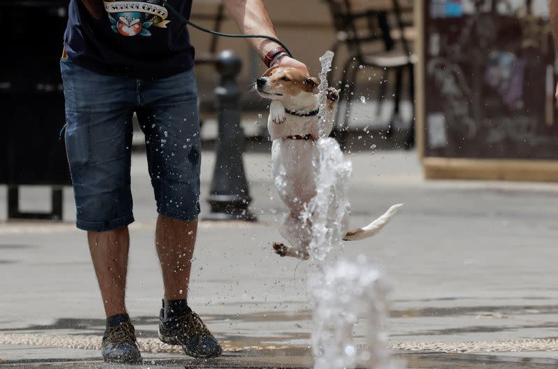 Spain faces unusually extreme temperatures