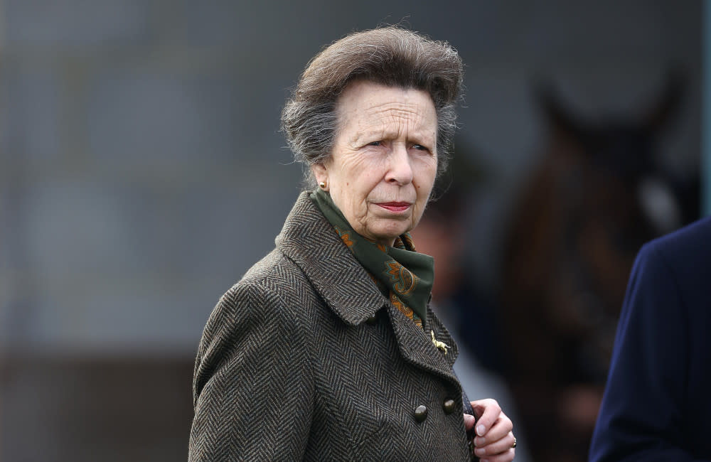 Princess Anne is in hospital credit:Bang Showbiz