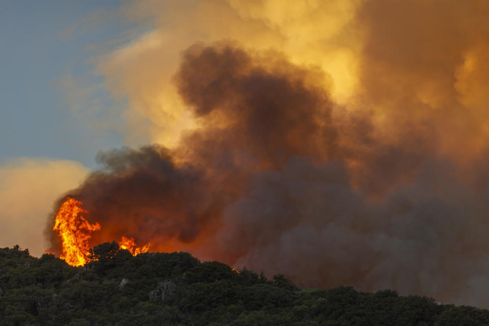 Flames and heavy smoke approach on a western front of the Apple Fire, consuming brush and forest at a high rate of speed during an excessive heat warning on August 1, 2020 in Cherry Valley, California. / Credit: David McNew / Getty Images