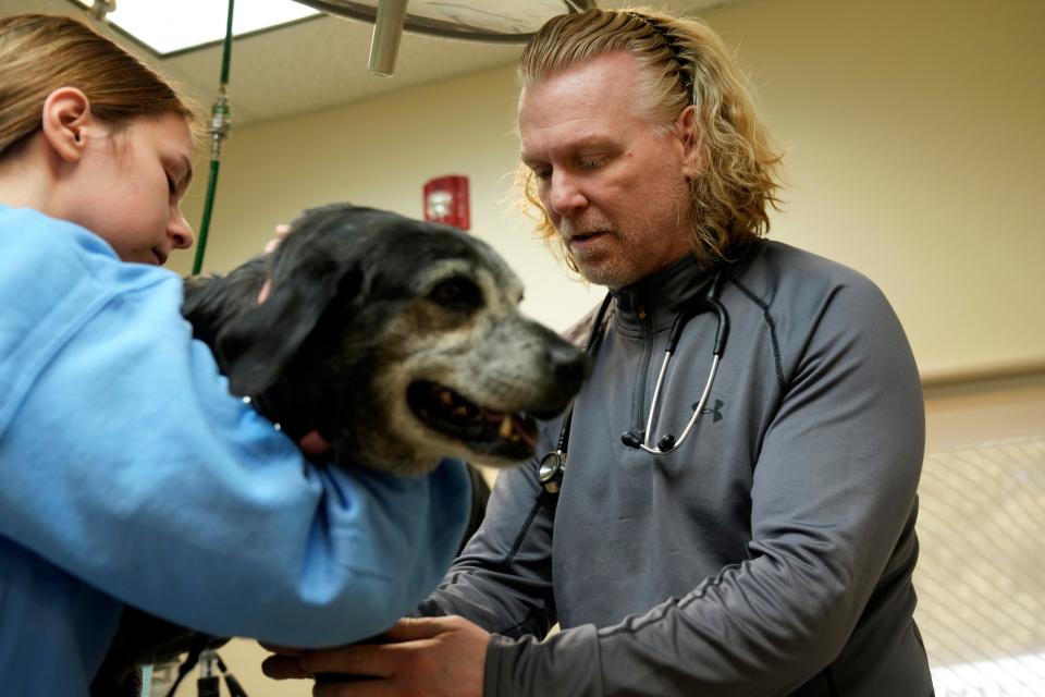 Veterinarian Silas Ashmore works with assistant Catilyn Albine to help Colby during a visit to All Creatures Great and Small Animal Hospital in Denville. “We deal with toxicity every day and over half the time owners are not aware of the damage that could be done," Dr. Ashmore said.