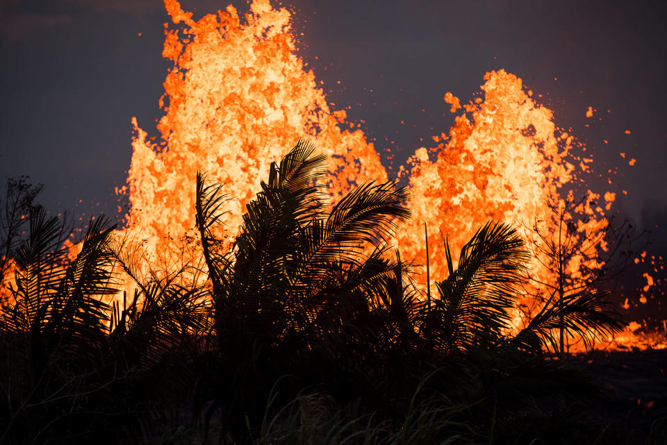 Hawaiian Farmers Brave Lava To Harvest Their Crops