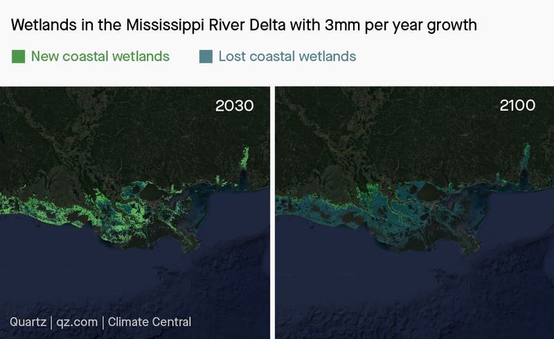 Wetlands in the Mississippi River Delta in 2030 and 2100 with 3mm per year growth.