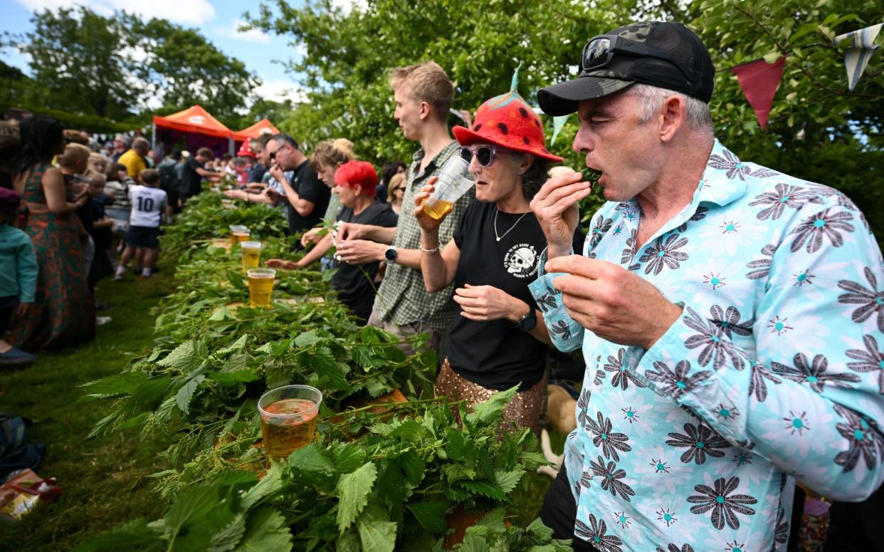 Competitors take part in the World nettle eating contest