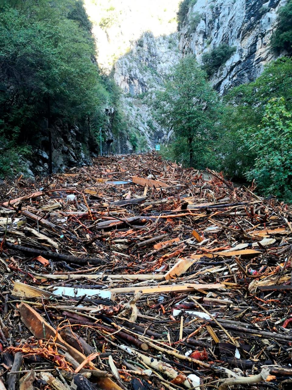 Piles of trees cover a road beside La Vesubie river in Saint-Jean-la-Riviere in FranceAP