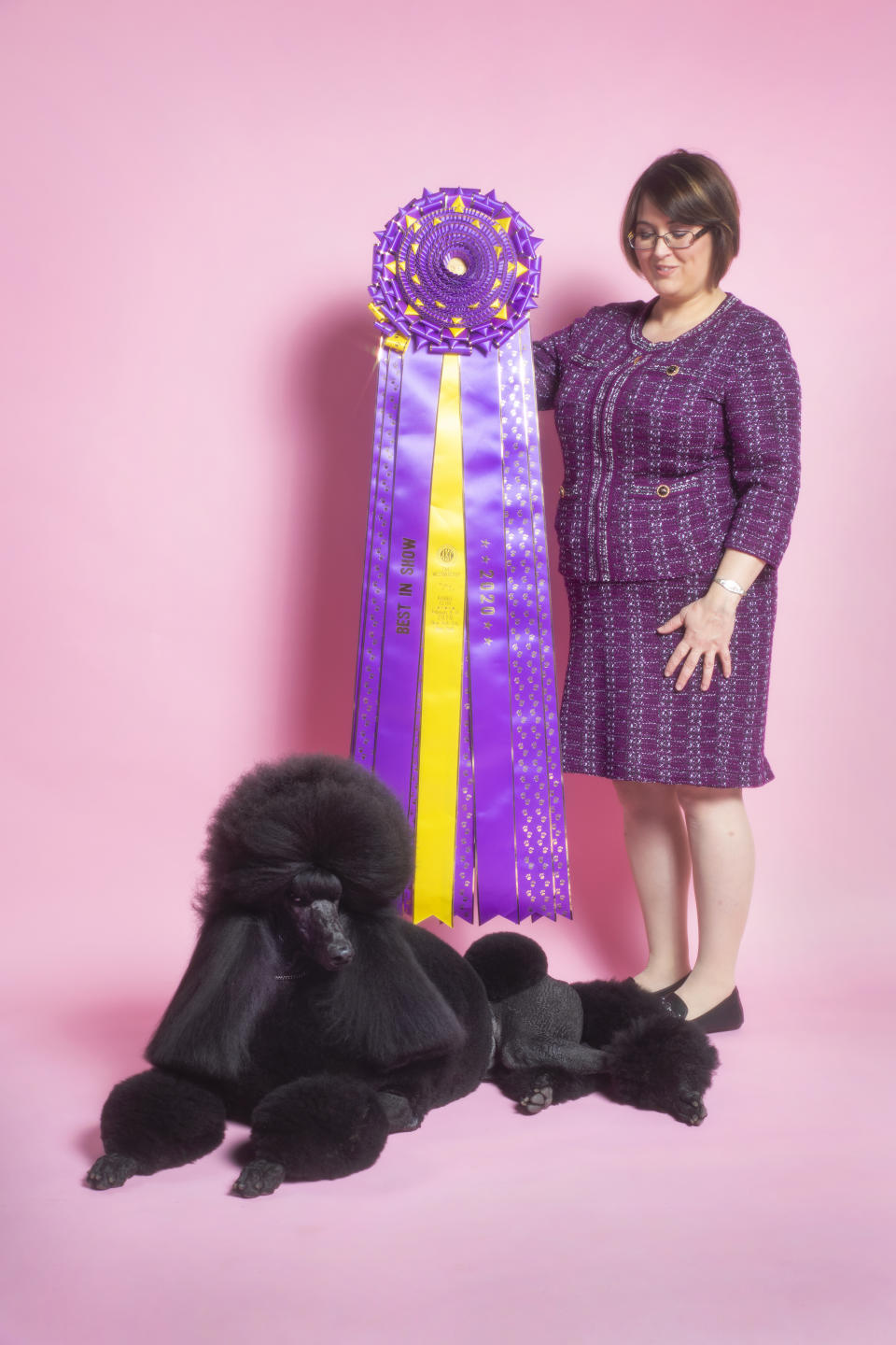 Siba the Standard Poodle poses for a portrait at the TIME studio on Feb. 12 | Sangsuk Sylvia Kang for TIME