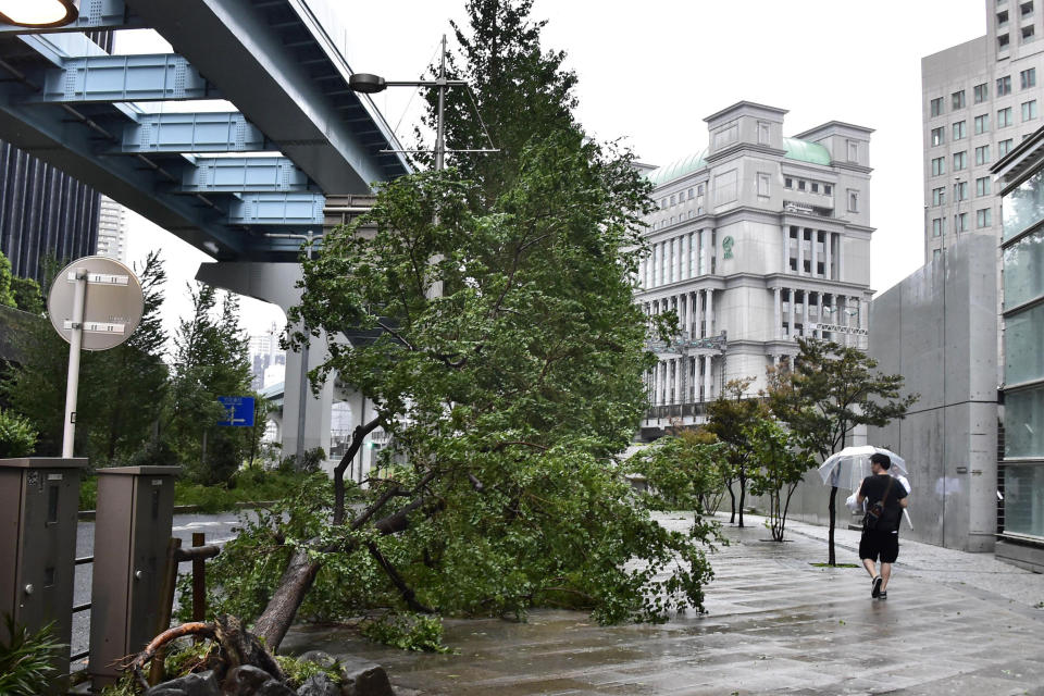 People walk past a fallen tree hit by typhoon in Tokyo Monday, Sept. 9, 2019. (Kyodo News via AP)