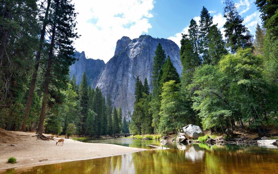 Yosemite National Park, California