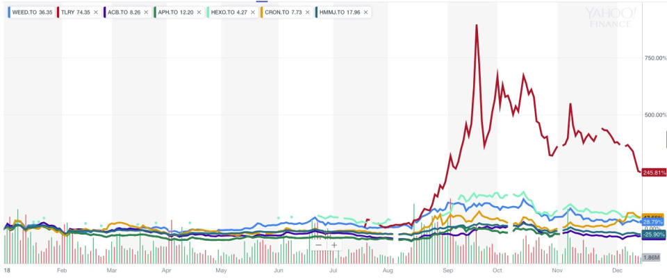 Comparing the shares of Canopy Growth, Tilray, Aurora Cannabis, Aphria, Hexo, Cronos and the Horizons Marijuana Life Sciences ETF (Yahoo Finance Canada)